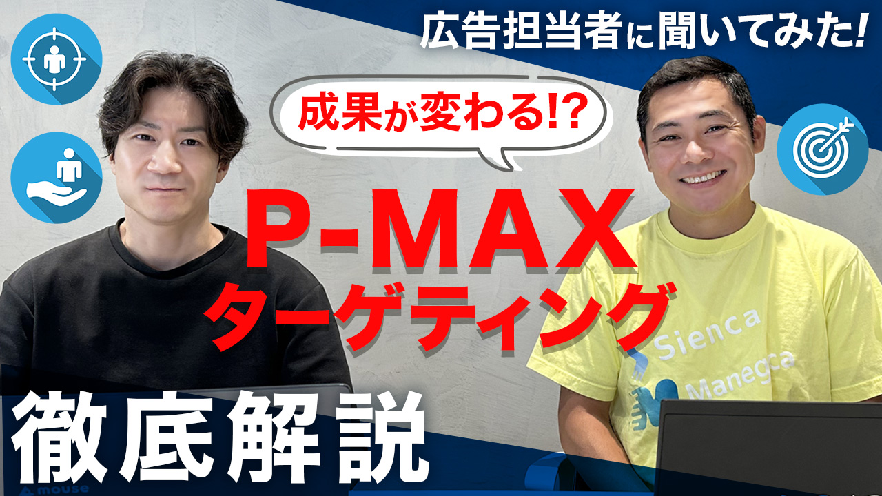 p-maxターゲティング